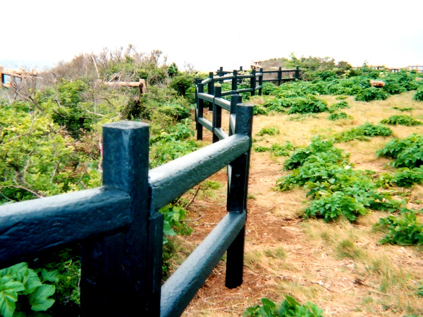 宮古島東平安名崎公園　沖縄県　