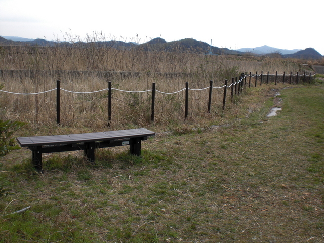 水鳥公園　鳥取県