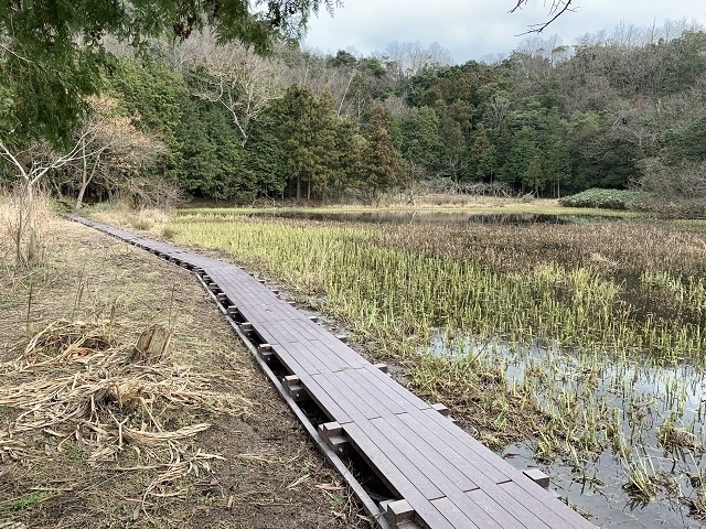 牧谷カキツバタ群落遊歩道