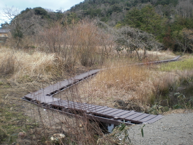 牧谷カキツバタ群落遊歩道