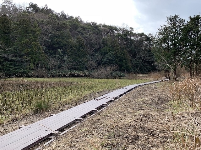 牧谷カキツバタ群落遊歩道